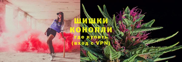 ALPHA PVP Остров
