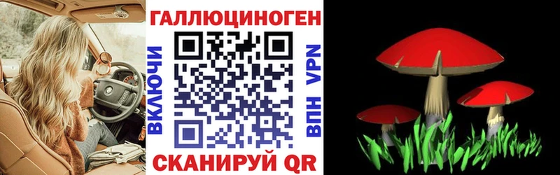 как найти закладки  Адыгейск  Галлюциногенные грибы Magic Shrooms 
